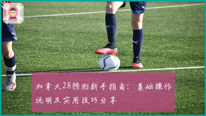 加拿大28预测新手指南：基础操作说明及实用技巧分享