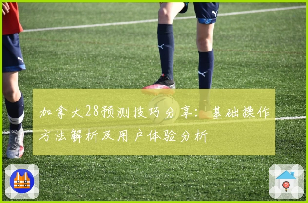 加拿大28预测技巧分享：基础操作方法解析及用户体验分析