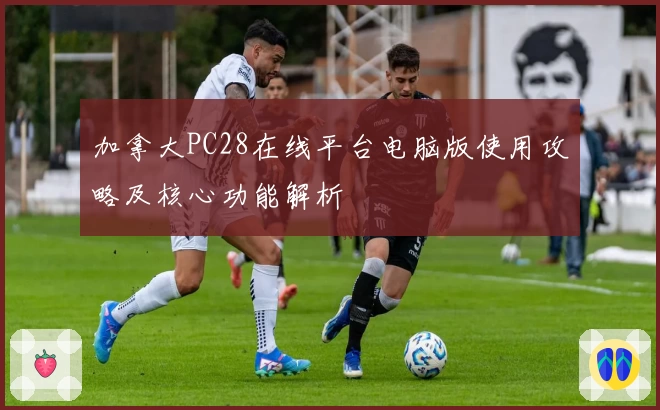 加拿大PC28在线平台电脑版使用攻略及核心功能解析