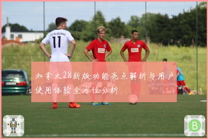 加拿大28新版功能亮点解析与用户使用体验全方位分析