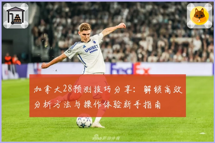 加拿大28预测技巧分享:解锁高效分析方法与操作体验新手指南