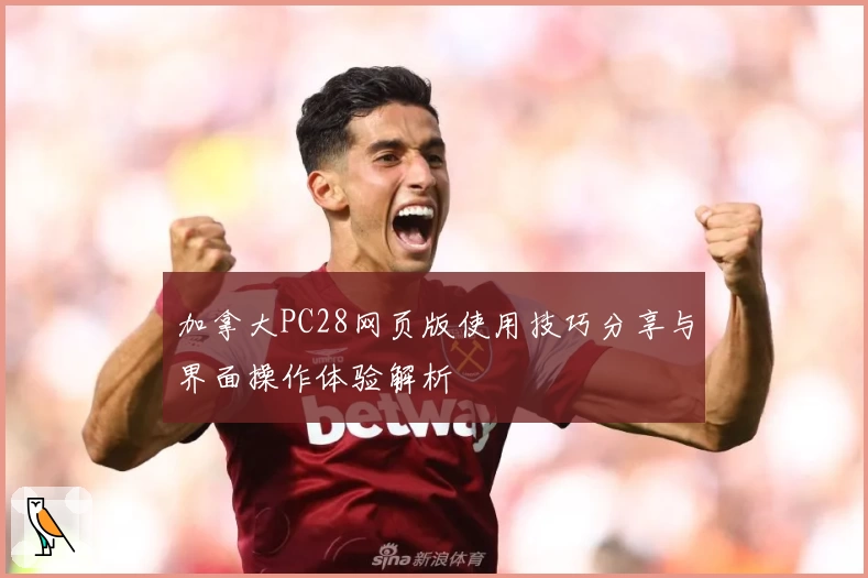 加拿大PC28网页版使用技巧分享与界面操作体验解析