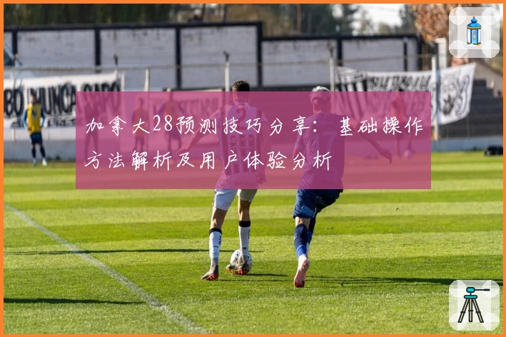 加拿大28预测技巧分享：基础操作方法解析及用户体验分析