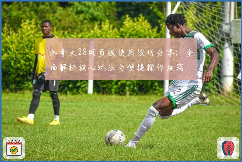 加拿大28网页版使用技巧分享：全面解析核心玩法与便捷操作诀窍