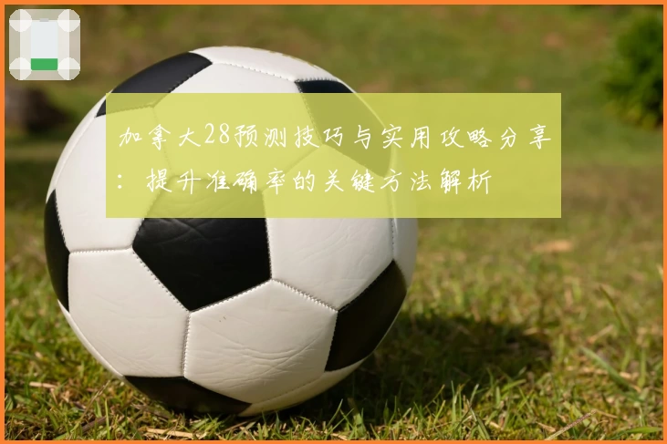 加拿大28预测技巧与实用攻略分享：提升准确率的关键方法解析