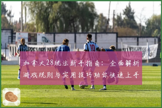 加拿大28玩法新手指南：全面解析游戏规则与实用技巧助你快速上手