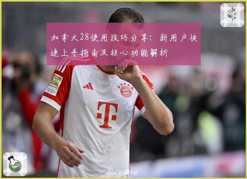 加拿大28使用技巧分享：新用户快速上手指南及核心功能解析